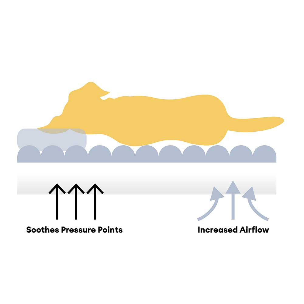 Creamy Plush Super Large Donut Dog Bed For Humans Cuddle Cradle