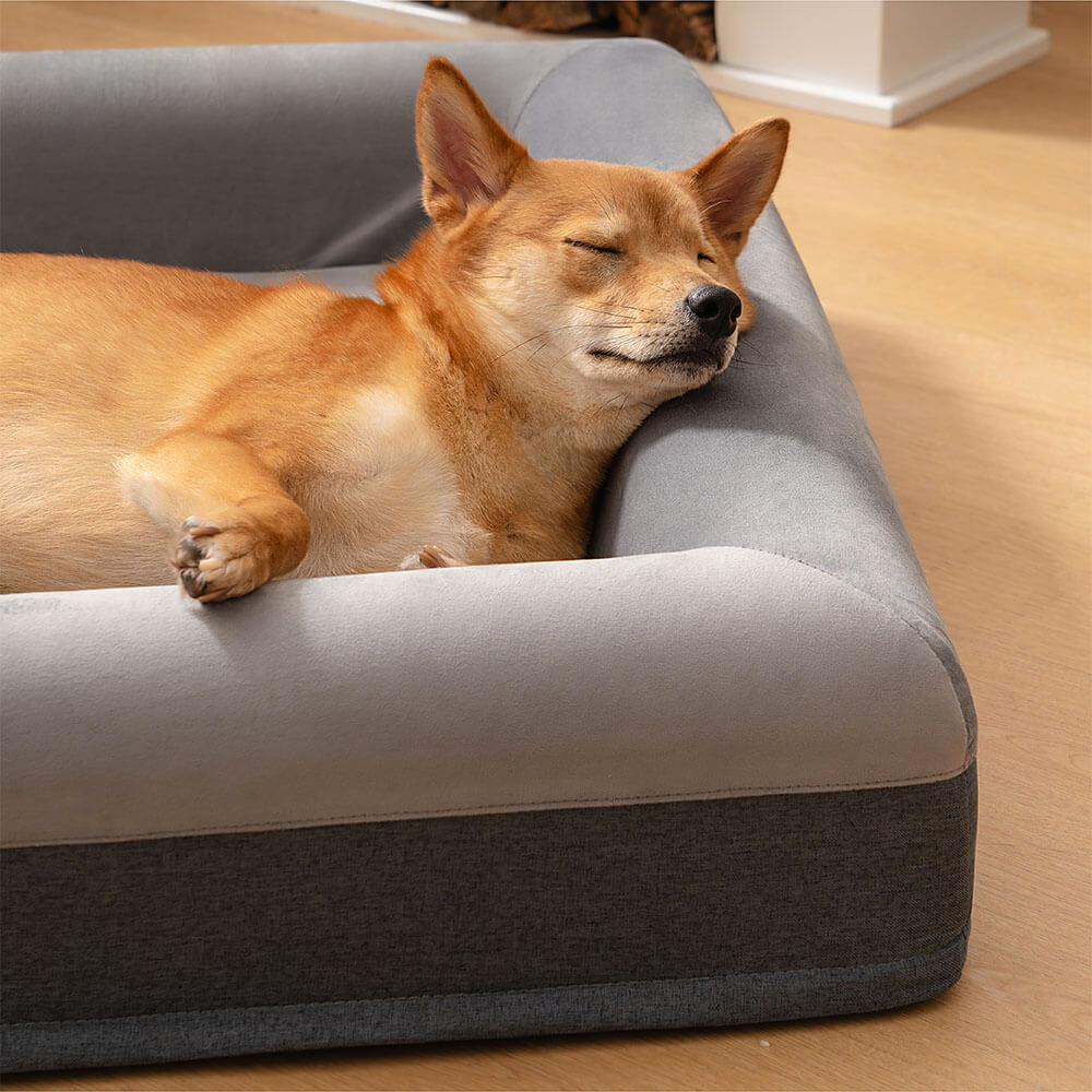 Orthopedic Dog Bed – Suede Velvet Lounger