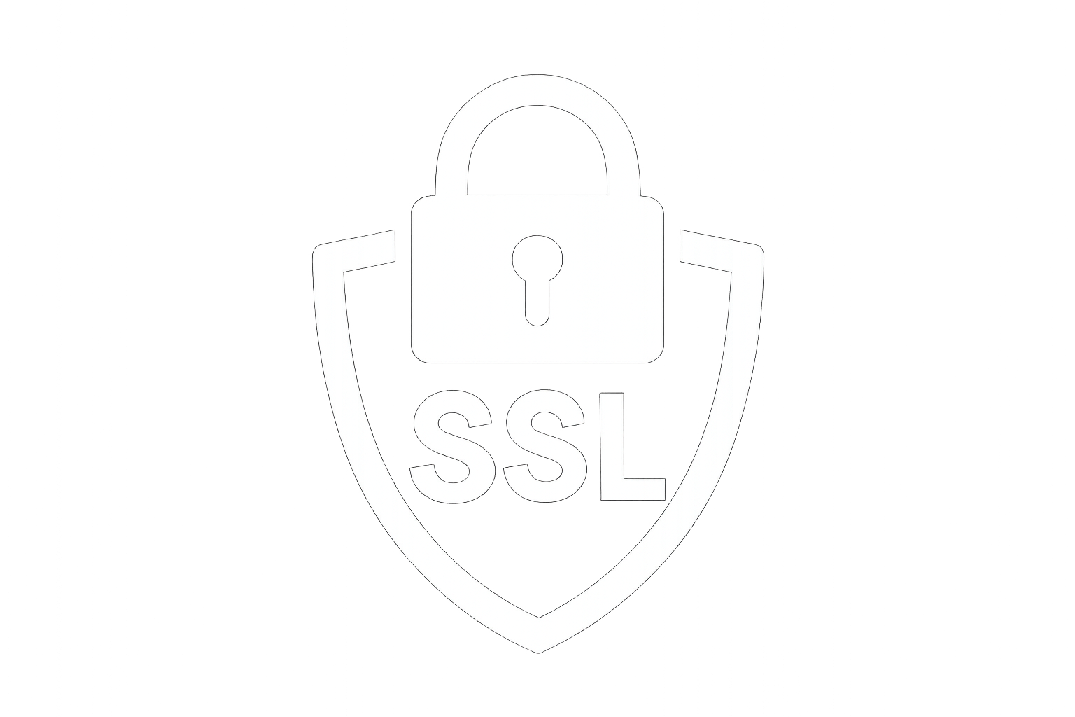 security ssl white favicon